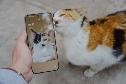 BetCart Casino Aplicación móvil